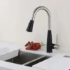 DAVISON Pull-Down Kitchen Faucet with Dual Spray