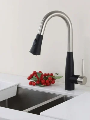 Dual Spray Kitchen DAVISON Pull-Down Kitchen Faucet with Dual Spray
