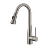 DAVISON Pull-Down Kitchen Faucet with Dual Spray