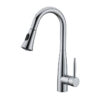DAVISON Pull-Down Kitchen Faucet with Dual Spray