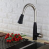 DAVISON Pull-Down Kitchen Faucet with Dual Spray