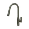 TIMELYSS Pull-Down Faucet with Dual Spray Functionality