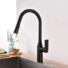 TIMELYSS Pull-Down Faucet with Dual Spray Functionality