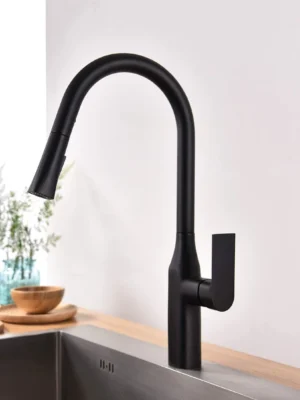 TIMELYSS Pull-Down Faucet with Dual Spray Functionality