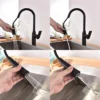 TIMELYSS Pull-Down Faucet with Dual Spray Functionality