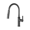 VUITTON Pull-Down Faucet with Dual Spray Functionality