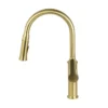 VUITTON Pull-Down Faucet with Dual Spray Functionality