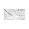 BTE2448784 (1) Modern Eunoia Grey Polished Porcelain Tile – 24x48
