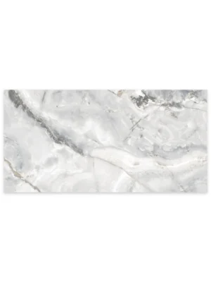 Modern Eunoia Grey Polished Porcelain Tile  – 24x48