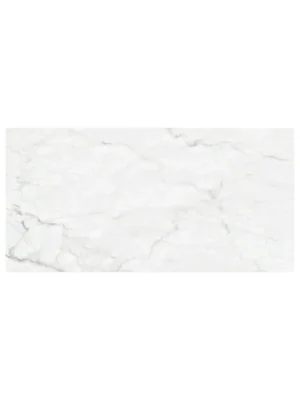 Oslo White Polished Porcelain Stylish Tile  – 24x48 (32 CT/PA)
