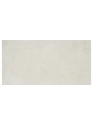 CNS2448716-NPB Zinc Cement Look Porcelain Matte Finish Tile – 24x48 (2 PC/CT, 32 CT/PA)