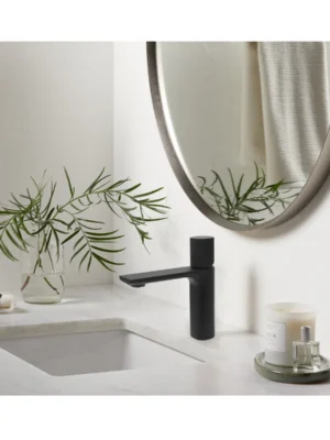TIMELYSS Single Hole lavatory faucet for Modern Bathroom
