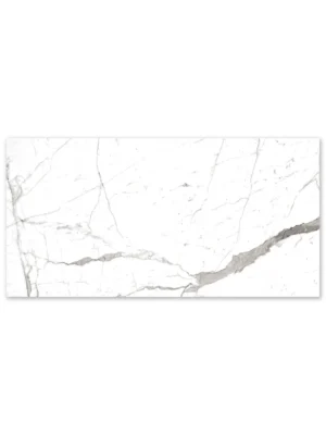 English Statuario Matte Finish Porcelain Tile Final Sale  – 24x48
