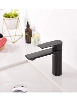 TIMELYSS Single Hole  Faucet for Modern Bathroom