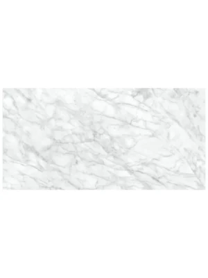 main_800x4542 Caskata Carrara Matte Finish Rectified Glazed Porcelain Tile – 24x48