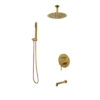 AQUAVO Pressure-Balanced Triple-Function Shower System – Kit 2